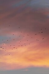 Cielo Rosa y Azul