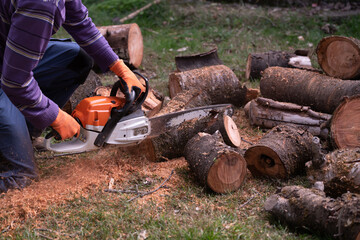 Blurry motion of sawdust and chainsaw while cutting dead cherry tree branches to make firewood