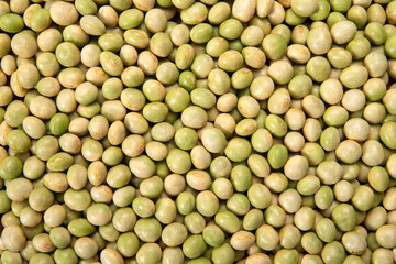 乾燥青大豆