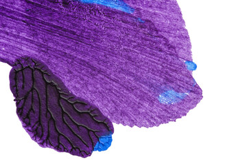 blue purple red yellow abstract acrylic painting color texture on white paper background by using rorschach inkblot method