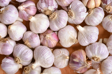 Garlic bulbs