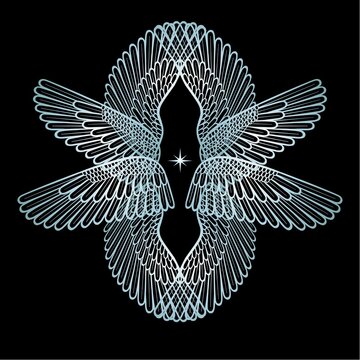 Cartoon drawing:  set of silver transparent wings.  Vector illustration isolated on a black background.