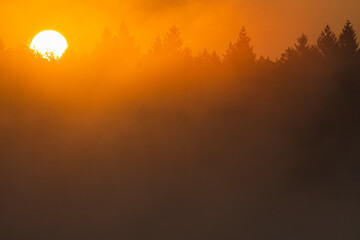 Sun rising above misty forest