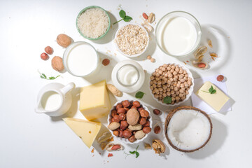 Fototapeta na wymiar Vegan non-dairy products. Plant-based alternative dairy products – milk, cream, butter, yogurt, cheese, with ingredients - chickpeas, oatmeal, rice, coconut, nuts