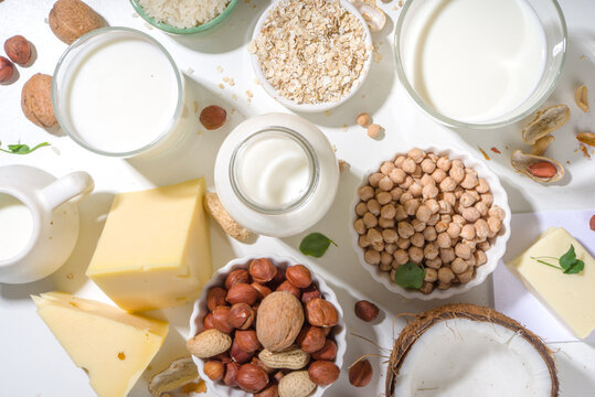 Vegan non-dairy products. Plant-based alternative dairy products &ndash; milk, cream, butter, yogurt, cheese, with ingredients - chickpeas, oatmeal, rice, coconut, nuts