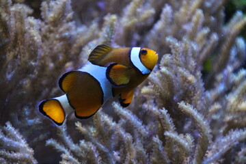 First attempt for my photography history  © Bartomiej