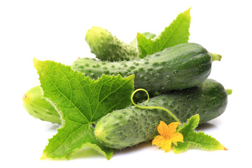 Fresh cucumbers on a white background