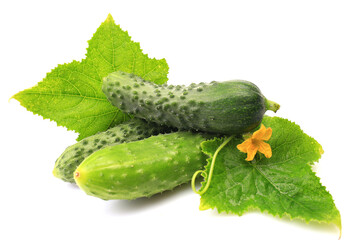 Fresh cucumbers on a white background