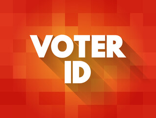 Voter ID text quote, concept background