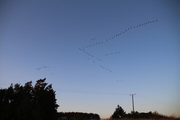 First attempt for my photography history  © Bartomiej