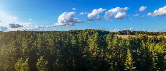 Blue sky panorama with clouds over tops of green trees. White fluffy clouds in blue sky. Background from clouds.