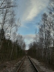railway in the forest