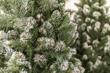 Green Christmas Fir fluffy spruce Tree branch pine artificial winter snow details close up, decorated interior New Year copyspace wallpaper background
