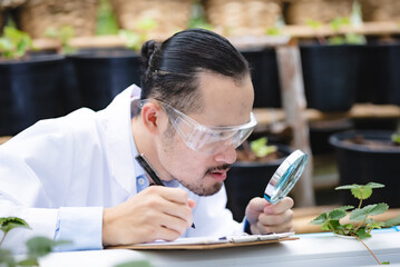 plant medicine biology scientist research concept, outdoor agricultural technology laboratory field