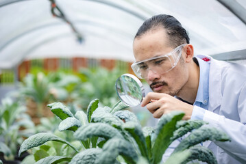 plant medicine biology scientist research concept, outdoor agricultural technology laboratory field