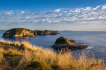 Early morning sunshine along the Coromandel Coastline in New Zealand
