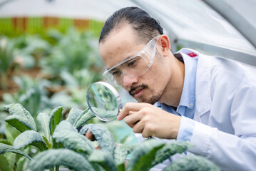 plant medicine biology scientist research concept, outdoor agricultural technology laboratory field