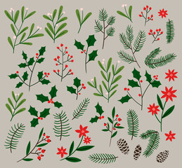 Christmas set of plants with flowers, holly, spruce branches, leaves and berries. Christmas trees. Modern doodle collection in green colors. Hand drawn design elements.