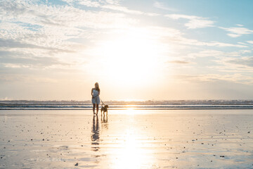 Fototapeta na wymiar atardecer en playa Guanacaste Costa Rica, caminando el perro y disfrutando del sol y el mar en la hora dorada