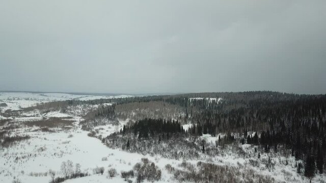 Aerial shot of snowed hill and plain with green spruces and dark clouds when it's snowing. Dark hill on right, light plain on left