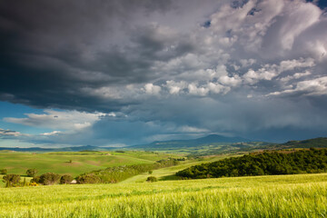 Typical spring rural landscape of Tuscany , Italy