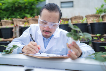 plant medicine biology scientist research concept, outdoor agricultural technology laboratory field