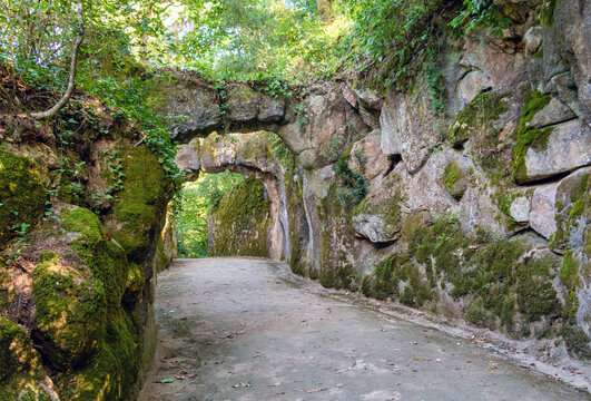 old stone bridges in the forested park
