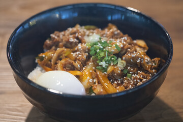 Pork rice bowl with egg