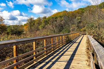 Hendrie Park Valley boardwalk trail across the marsh during autumn,  Burlington   Ontario