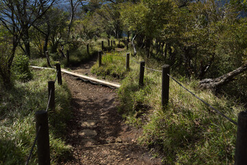 登山道