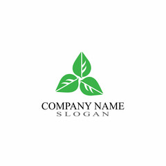 Leaf Nature Logo Design Template Vector