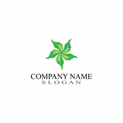 Leaf Nature Logo Design Template Vector