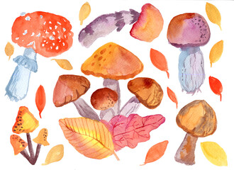 Colorful mushrooms with autumn leaves. Watercolor hand painting illustration isolated on white background.