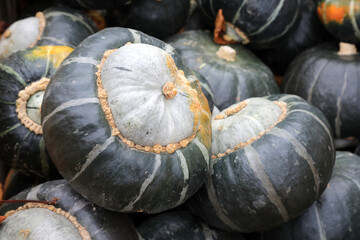 Beautiful Pumpkin of sort  