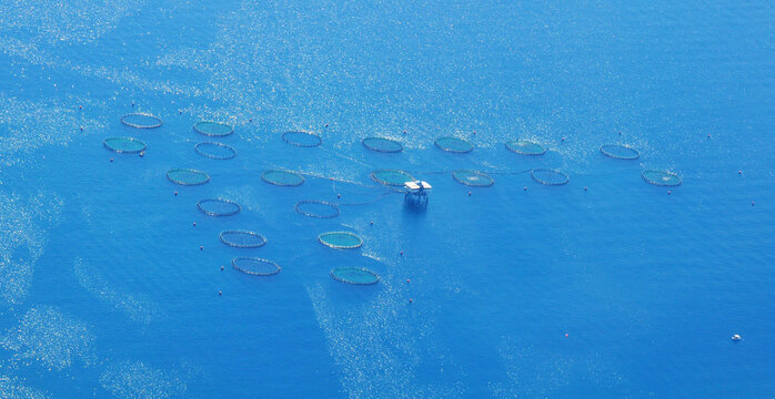 The round fish farm in open seawater
