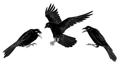 Black and white raven crow tattoo vector set