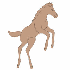 sketch brown foal jumping, vector, isolated