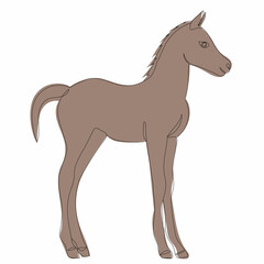 sketch brown foal, vector, isolated