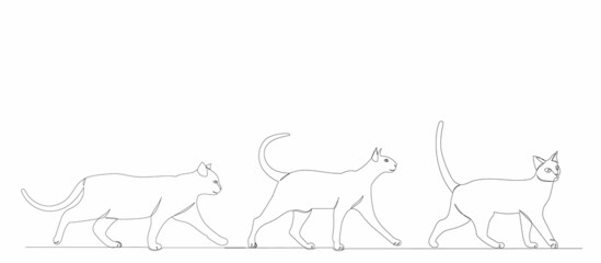 cats walk one continuous line drawing, vector, isolated