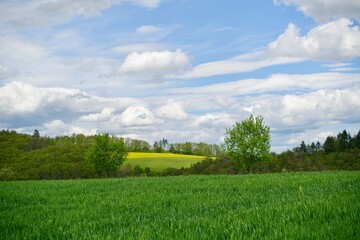Landschaft im Taunus