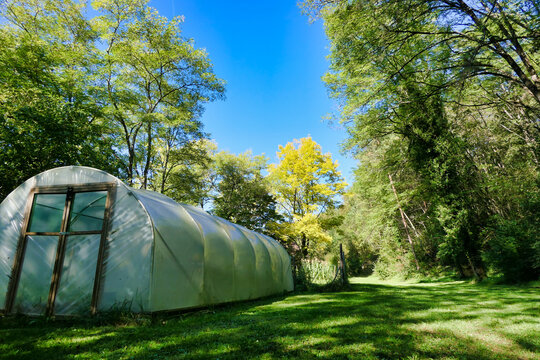 Polytunnel set in the beautiful Dordogne countryside in France
