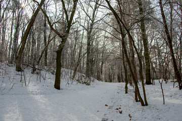 Schnee bedeckter Weg an einem Sonnentag