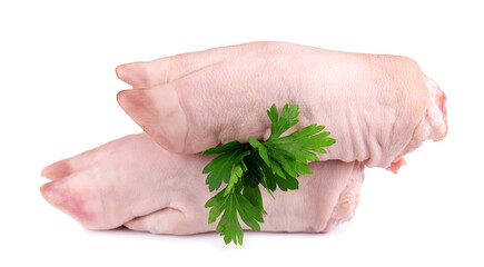 Raw pork hooves isolated on white background. Fresh pig legs.