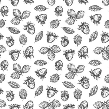 Hand drawing seamless pattern with strawberry in monochrome sketch engraved style isolated on white background. Design for branding textile or market cover, cloth. Botanical vector illustration.