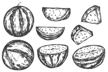 Set vector hand draw watermelon isolated on white background. Botanical illustration in sketch style. Monochrome design element for branding organic healthy fresh food or market cover, banner, menu.