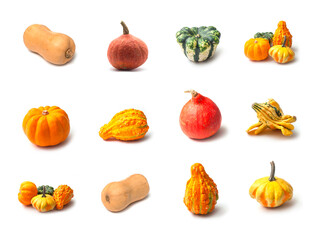 Closeup of various view of halloween vegetables on white background