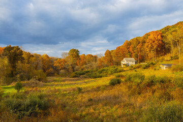 Naklejka premium A small country house in the middle of a pretty field with Autumn colors in the background.