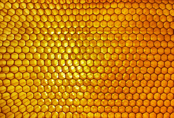 Honeycomb with the honey. Honeycomb backgroung. Honeycomb close up