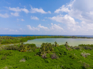 Fototapeta na wymiar mangrove waves in Maldives 
