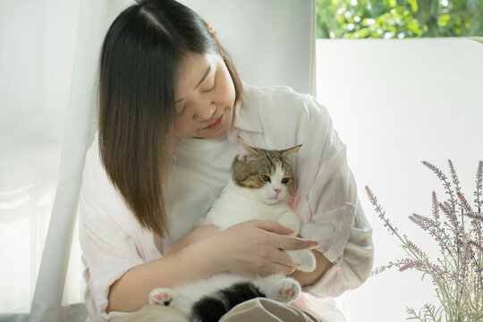 asian woman play with white brown tabby scottish straight cat in her living room